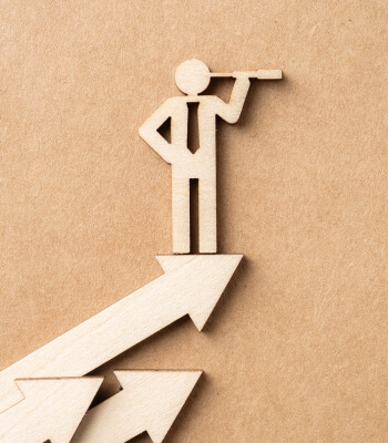 Visión institucional de Iplacex