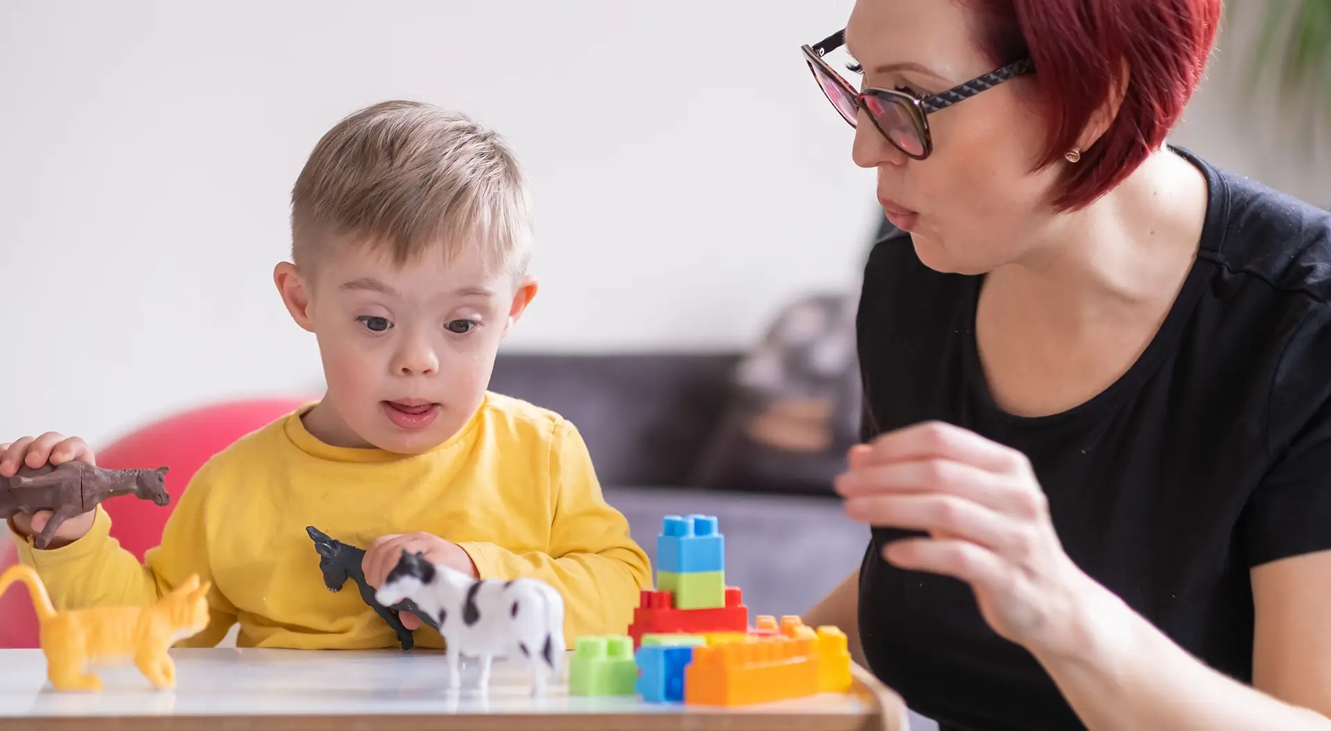 Postítulo en Discapacidad Intelectual