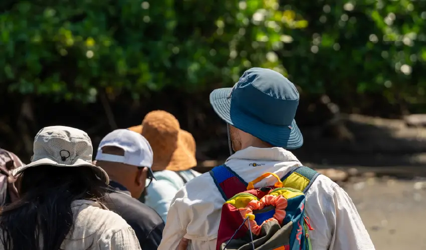 Técnico en Turismo